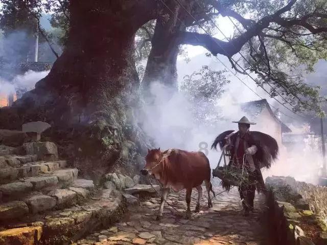 到底怎么火的？到生活中去，下一个“尔滨”在路上