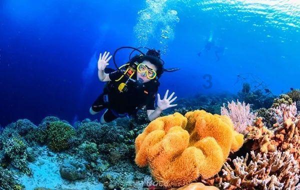 剧集周榜丨《繁花》蝉联榜首,新剧势头强劲