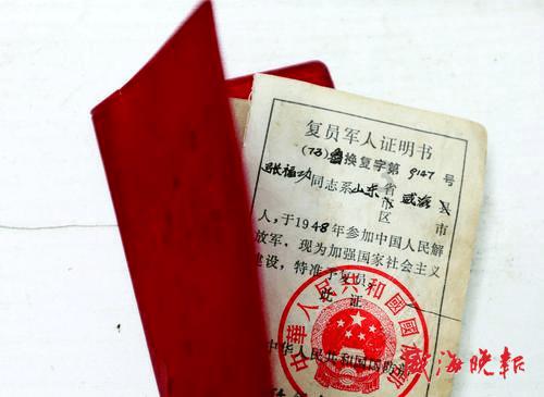救援狗与猫