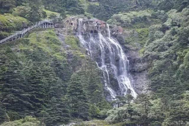 回避型依恋感情中梗更专一忠诚还是更容易花心出轨？