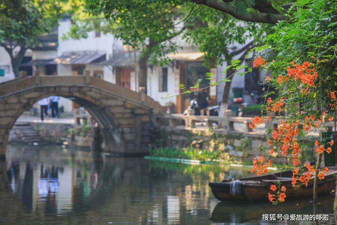 动物狂欢夜