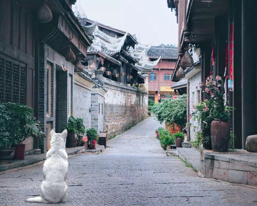甜美公主的绚丽装扮