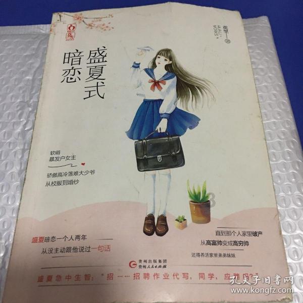 豆娃勇士